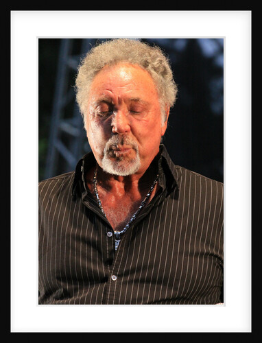 Tom Jones by L. Paul Mann